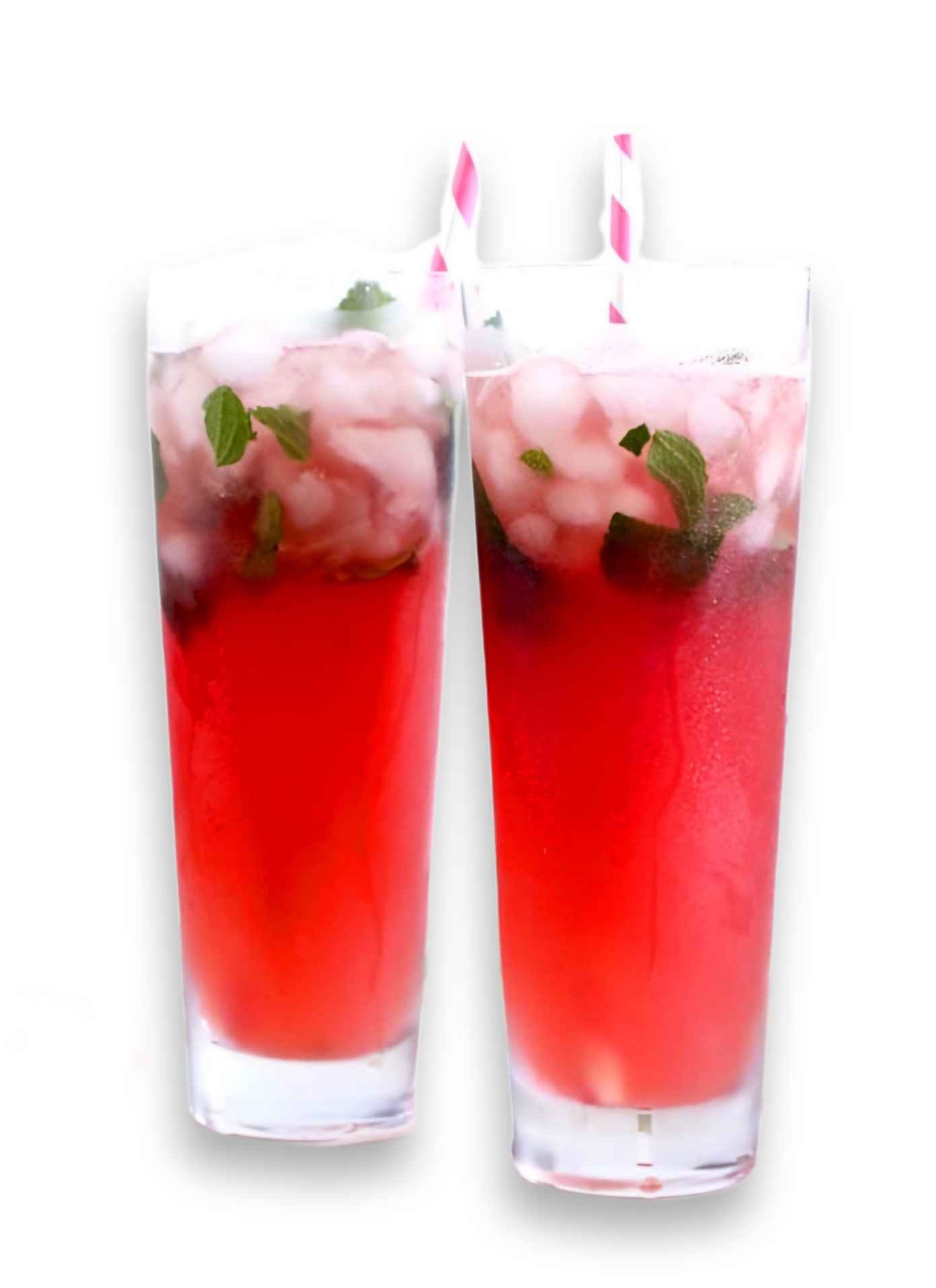 Watermelon Mojito