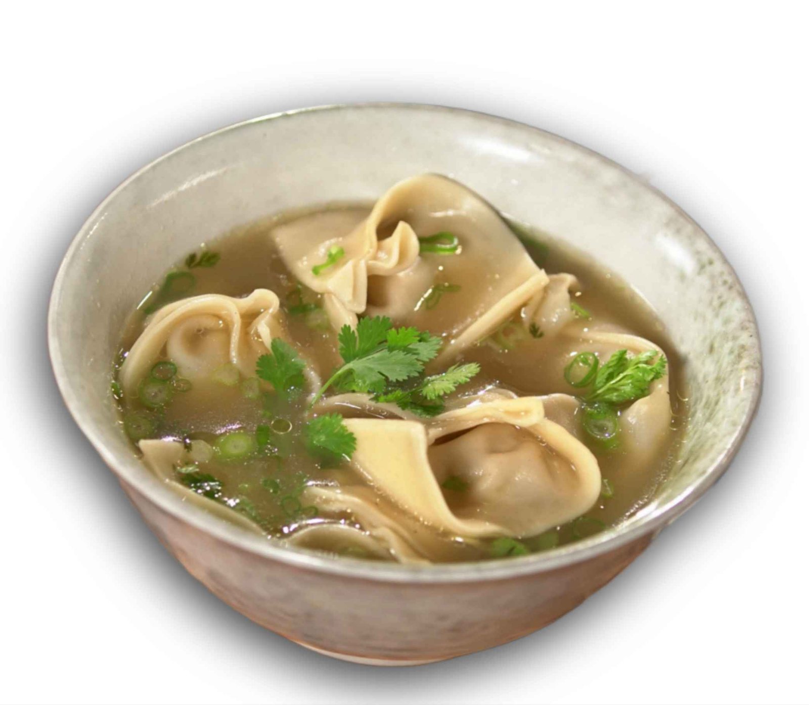 Chicken Wonton Soup