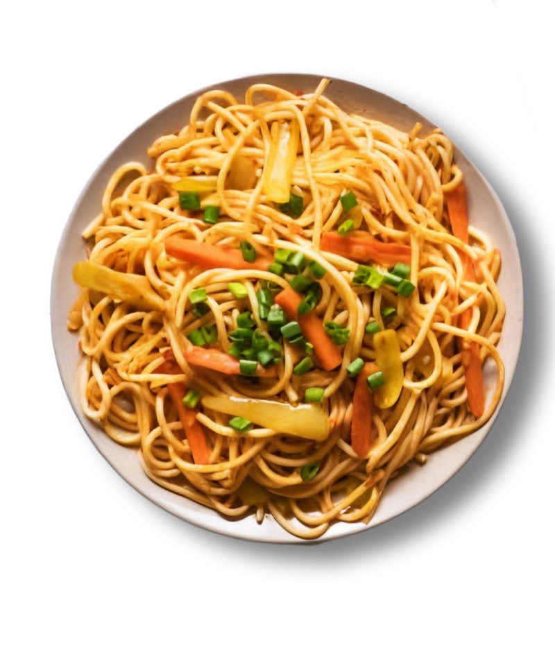 Plain Noodles Chicken