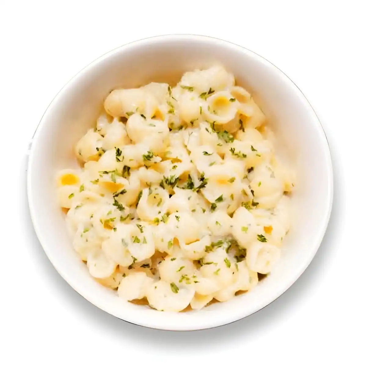 Creamy Garlic Pasta(Veg)