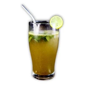 Mojito Mint Masala