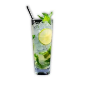 Mojito Mint