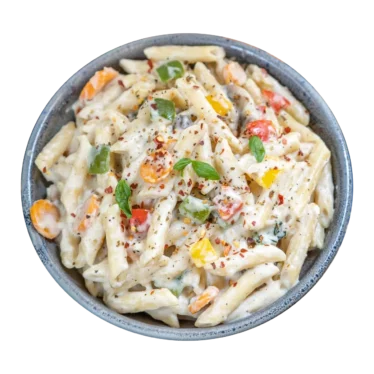 Penne Pasta In White Sauce Veg